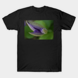 Clematis about to open T-Shirt